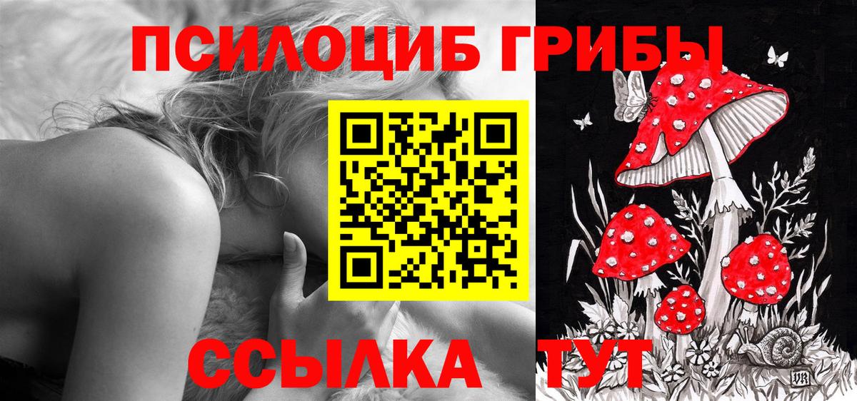 Галлюциногенные грибы Psilocybine cubensis  Вход с VPN  где найти наркотики  Зеленокумск  Галлюциногенные грибы MAGIC MUSHROOMS 